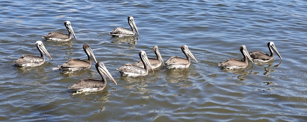 2026-03-21 Iquique 20260321_113303_ji.jpg
